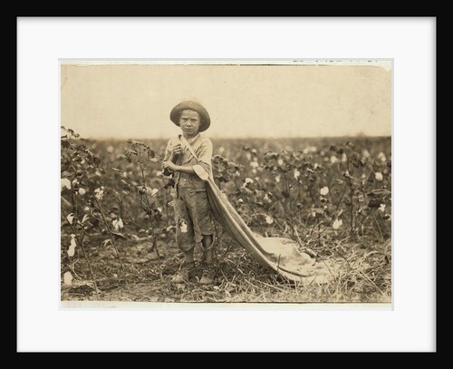 6-year old Warren Frakes with about 20 pounds of cotton in his bag at Comanche County, Oklahoma, 1916 by Lewis Wickes Hine
