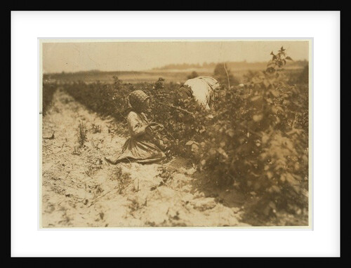 A six year old Polish girl picking berries all day with her family by Lewis Wickes Hine