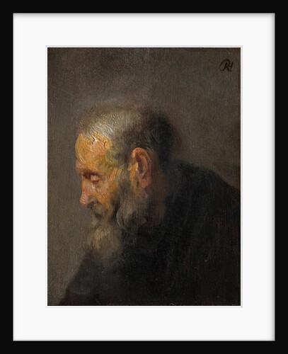 Study of an Old Man in Profile, c. 1630 by Rembrandt Harmensz. van Rijn