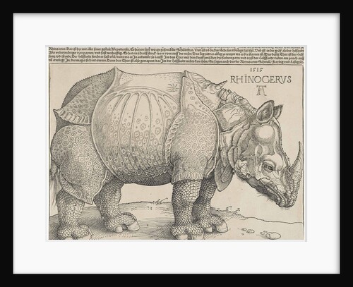 The Rhinoceros, 1515 by Albrecht Dürer or Duerer