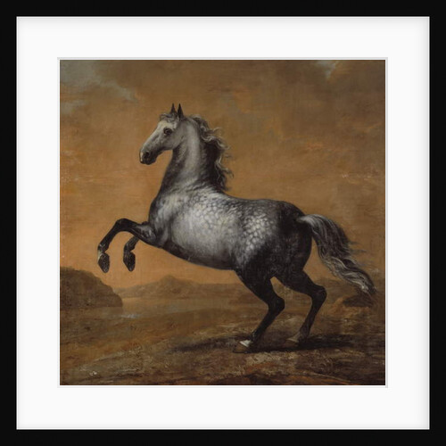 The Little Englishman, King Karl XI's Horse by David Klocker Ehrenstrahl