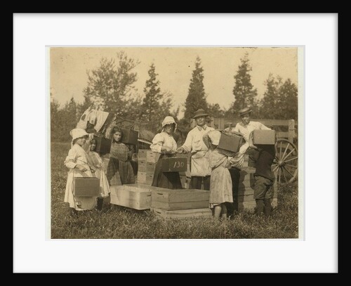 Children carrying their pecks of cranberries to the 'bushel man' at Theodore Budd's Bog, Turkeytown near Pemberton, New Jersey, 1910 by Lewis Wickes Hine