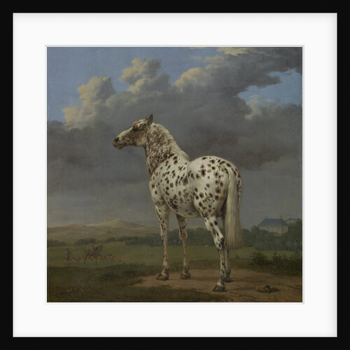 The 'Piebald' Horse, c.1650-4 by Paulus Potter