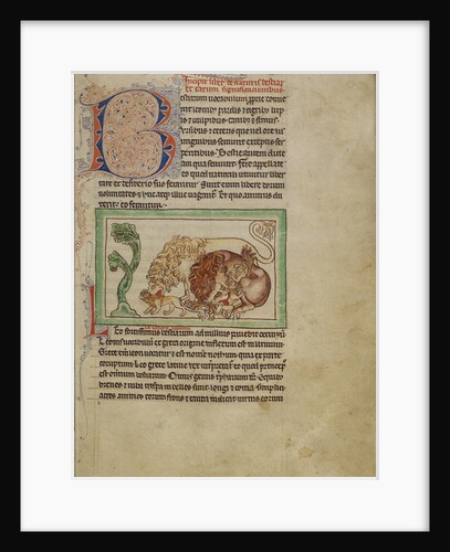 Northumberland Bestiary, c.1250-60 by English School