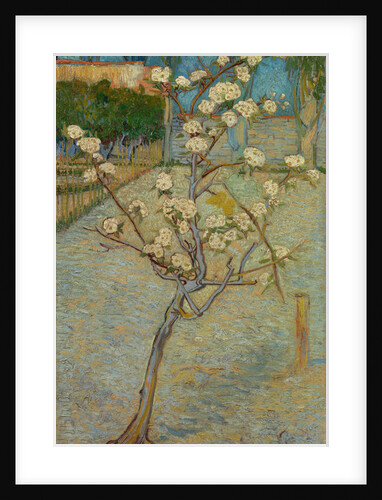 Small pear tree in blossom, 1888 by Vincent van Gogh