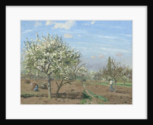 Orchard in Bloom, Louveciennes, 1872 by Camille Pissarro