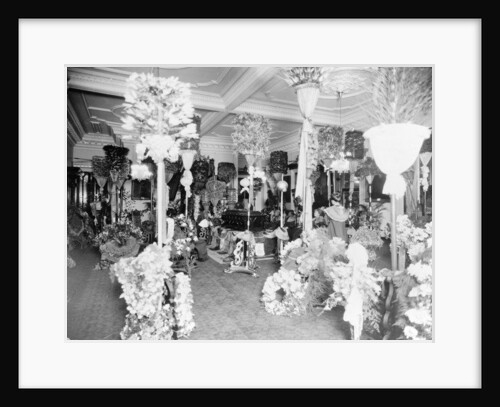 Queen Liliuokalani's coffin in the throne room at Iolani Palace, Honolulu, 1917 by Anonymous
