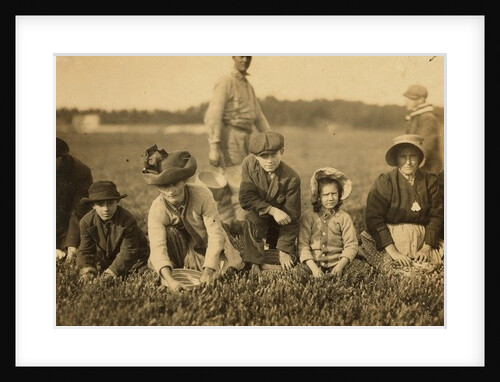 Annette Roy said to be 7 and Napoleon Ruel said to be 9 picking cranberries at Smart's Bog, South Carver, Massachusetts, 1911 by Lewis Wickes Hine
