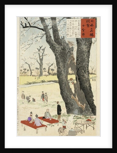 Koganei, Cherry Blossoms from Sketches of Famous Places in Japan, 1896 by Kiyochika Kobayashi
