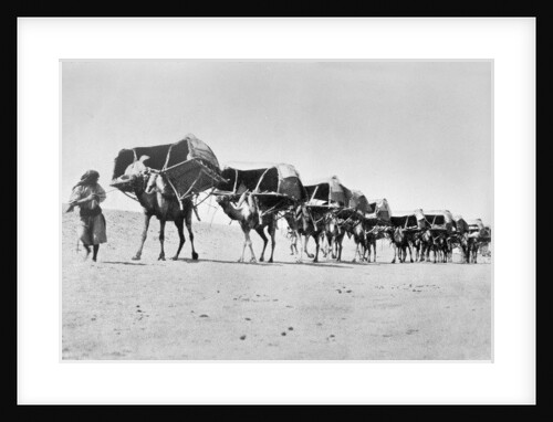 Camel caravan of pilgrims to Mecca, c.1910 by Anonymous