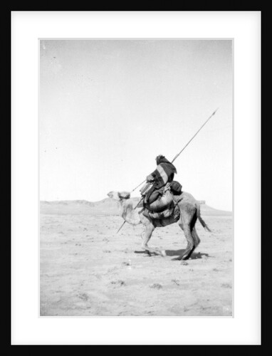Bedouin warrior making his camel kneel, 1900-20 by Anonymous