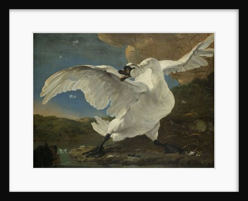 The Threatened Swan, c.1650 by Jan Asselyn