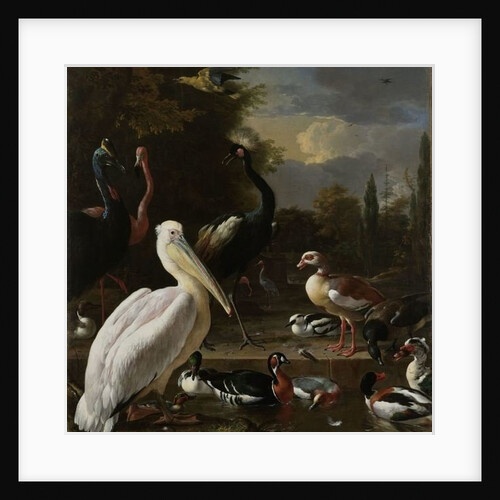 A Pelican and other Birds near a Pool, Known as ‘The Floating Feather’, c.1680 by Melchior de Hondecoeter
