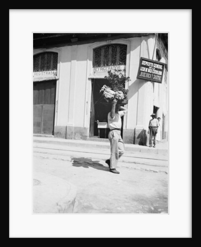 Flower vendor, Havana, c.1910 by American Photographer
