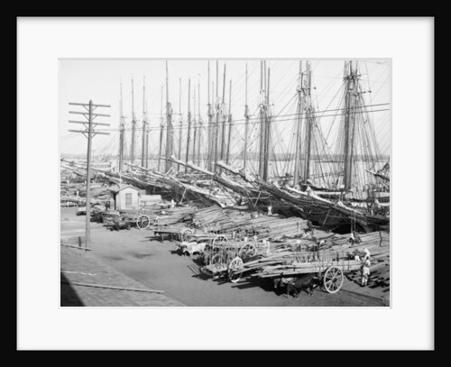 Muelle Tallapiedras, Havana, c.1904 by American Photographer