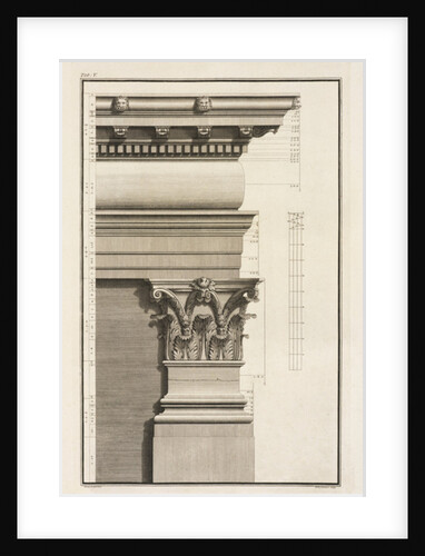 Base, Capital and Entablature of the Pilaster, 1753 by Giovanni Battista Borra