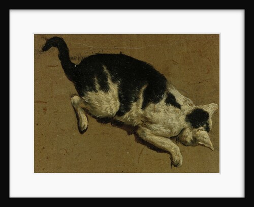 Cat from above by Adriaen van de (attr.to) Velde