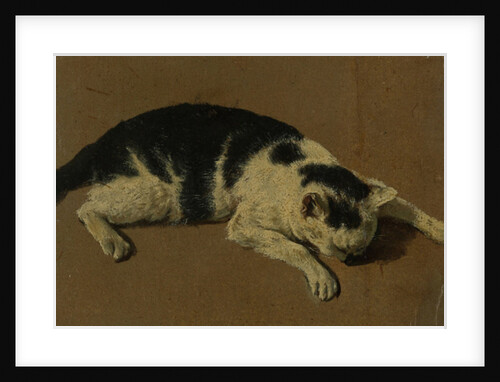 Cat lying down by Adriaen van de Velde
