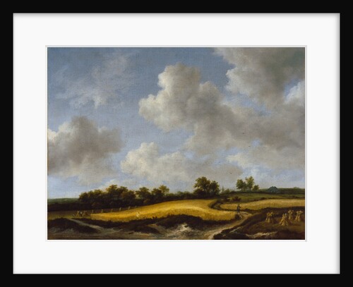 Landscape with a Wheatfield, c.1660 by Jacob Isaaksz. or Isaacksz. van Ruisdael