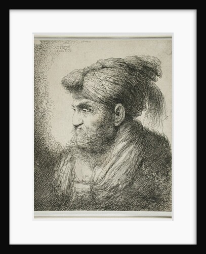 Bearded Man Wearing a Turban, 1647-51 by Giovanni Benedetto (1609-64) Castiglione