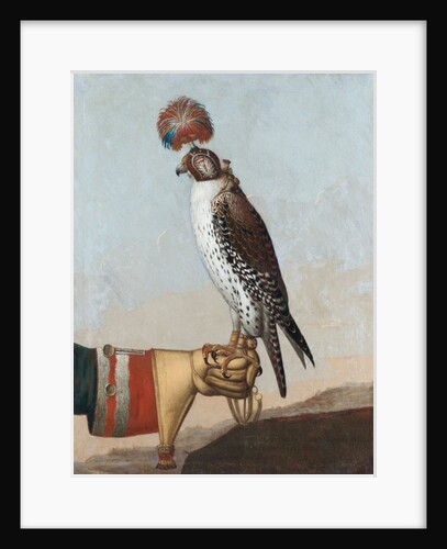 Icelandic gerfalcon, 1759 by German School