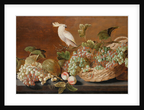 Still life with parrot, c.1640 by Roloef Koets