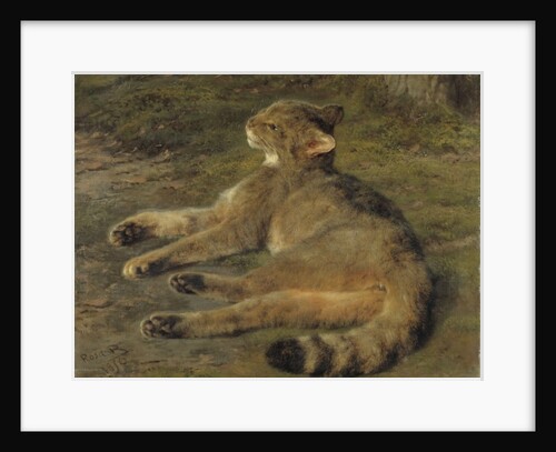 Wild Cat, 1850 by Rosa Bonheur