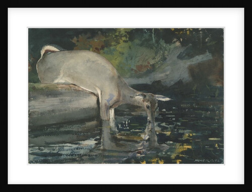 Deer Drinking, 1892 by Winslow Homer
