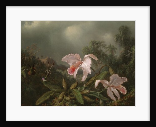Jungle Orchids and Hummingbirds, 1872 by Martin Johnson Heade