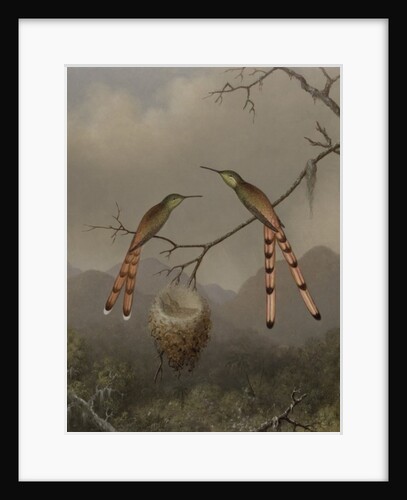 Two Hummingbirds with Their Young, c.1865 by Martin Johnson Heade