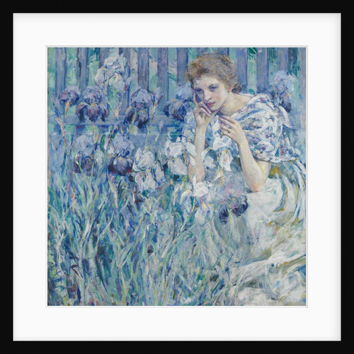 Fleur de Lys, c.1895-1900 by Robert Reid