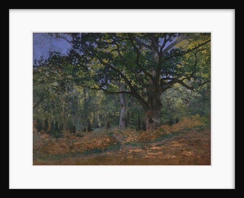 The Bodmer Oak, Fontainebleau Forest, 1865 by Claude Monet