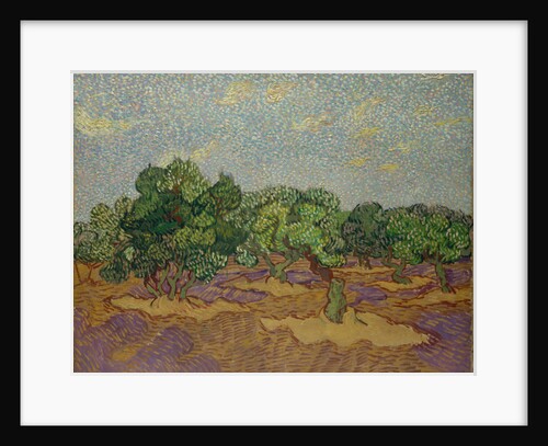 Olive Trees, 1889 by Vincent van Gogh
