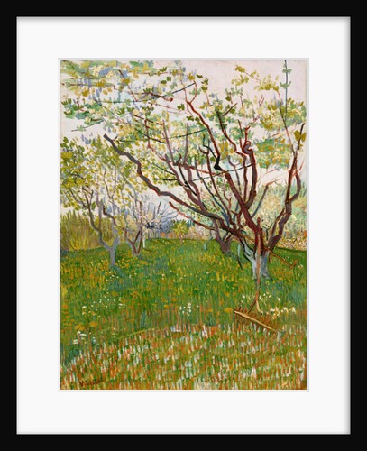 The Flowering Orchard, 1888 by Vincent van Gogh
