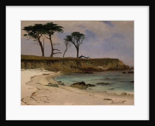 Sea Cove, c.1880-90 by Albert Bierstadt