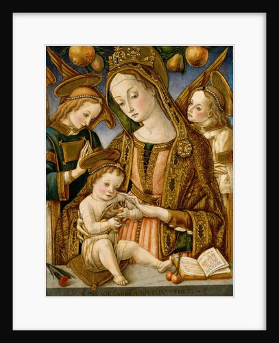 Madonna and Child with Two Angels, c.1481-82 by Vittorio Crivelli