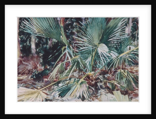 Palmettos, 1917 by John Singer Sargent