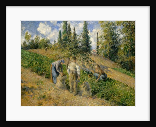 The Harvest, Pontoise, 1881 by Camille Pissarro