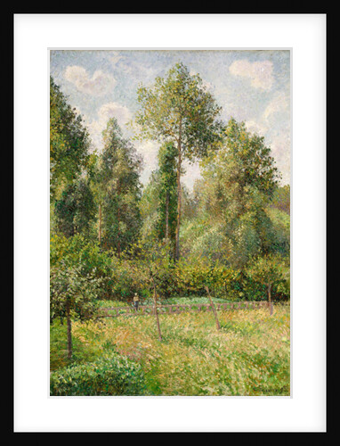 Poplars, Éragny, 1895 by Camille Pissarro