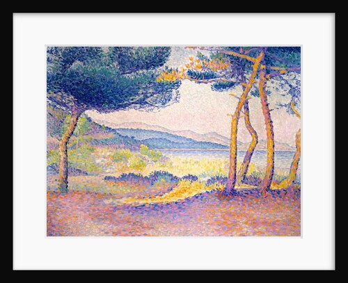 Pines Along the Shore, 1896 by Henri-Edmond Cross