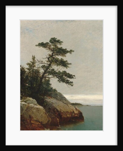 The Old Pine, Darien, Connecticut, 1872 by John Frederick Kensett
