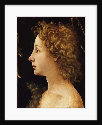 The Young Saint John the Baptist by Piero di Cosimo