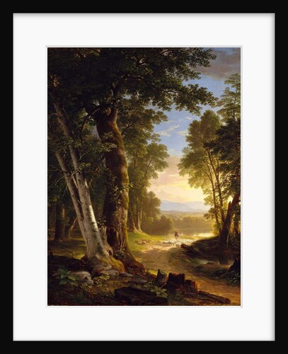 The Beeches, 1845 by Asher Brown Durand