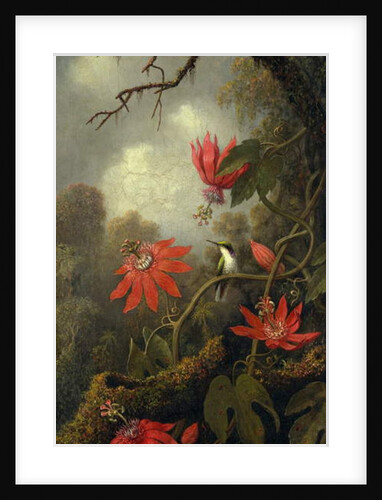 Hummingbird and Passionflowers, c.1875–85 by Martin Johnson Heade