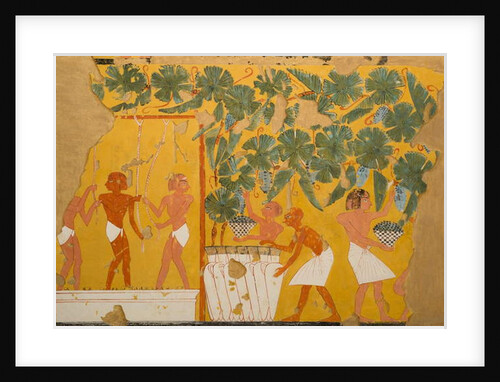 Winemaking, Tomb of Ipuy by Charles Wilkinson