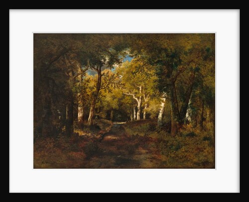 In the Forest, 1874 by Narcisse Virgile Diaz de la Pena