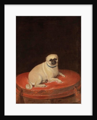 Pug by Anonymous Anonymous