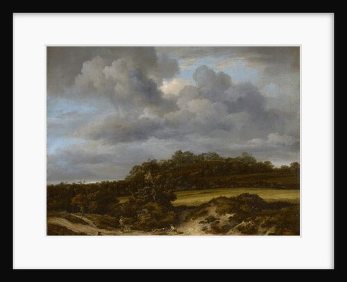 Cornfield, 1660 by Jacob Isaaksz. or Isaacksz. van Ruisdael