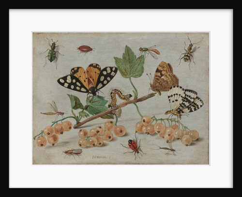 Insects and Fruit, c.1660-5 by Jan van the Elder Kessel
