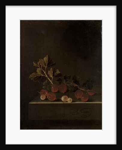 A Sprig of Gooseberries on a Stone Plinth, 1699 by Adrian Coorte